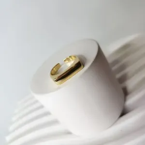 ANEL OURO AJUSTÁVEL DEDINHO RETO