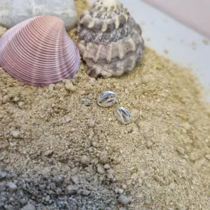 BRINCO PRATA BÚZIOS