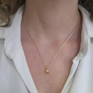 COLAR PRATA SHELL