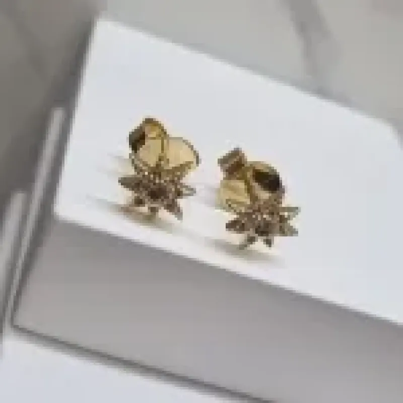 BRINCO OURO STAR LUXO P	