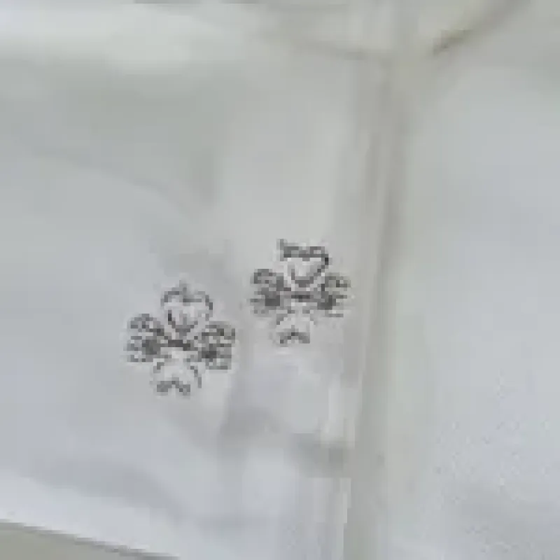BRINCO PRATA TREVO Z	