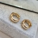 BRINCO OURO ARGOLA  G LISA M	
