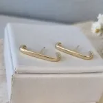 BRINCO OURO EAR HOOK PINO