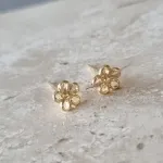 BRINCO OURO FLOR VAZADA MINI