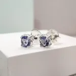 BRINCO PRATA CIRCULO P TANZANITA