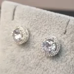 BRINCO PRATA LUXO CIRC	